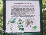 Naučná stezka KOTVICE