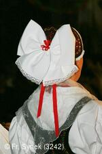 Národní krojový ples