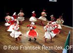 Mezinárodní folklorní festival Folklor bez hranic