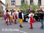 Mezinárodní folklorní festival Česká náves - Dýšina
