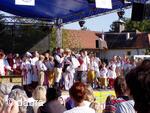 Mezinárodní folklorní festival Česká náves - Dýšina