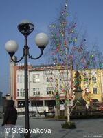 * Z DĚNÍ VE MĚSTĚ